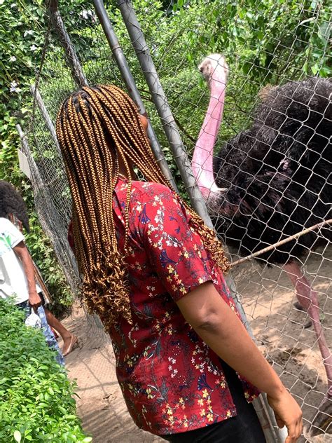 wildlagos|THE BEST Lagos Nature & Wildlife Areas (Updated 2024).